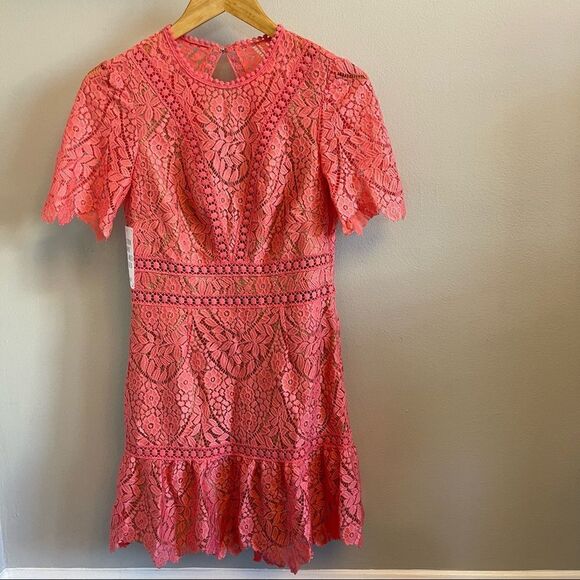 Free People - Saylor Crochet Lace Cutout Mini Dress Porcelain Rose Pin… - Picture 4 of 5